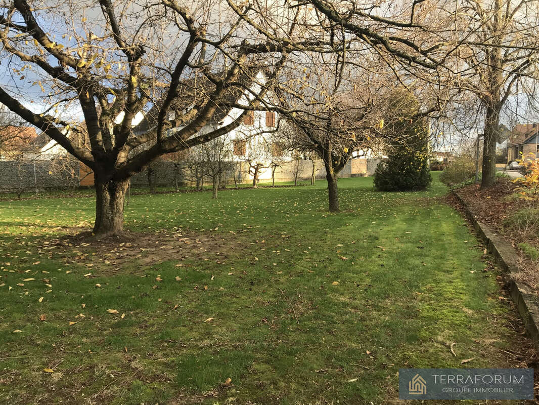 Terrain à SCHNERSHEIM