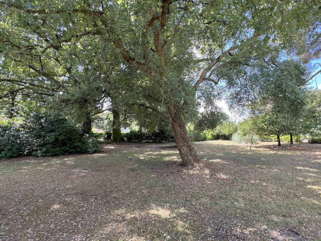 Terrain à AZUR