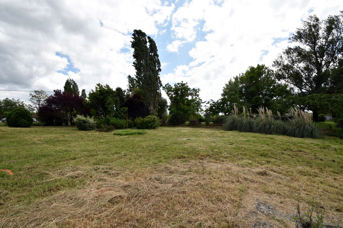 Terrain à MONTAUBAN
