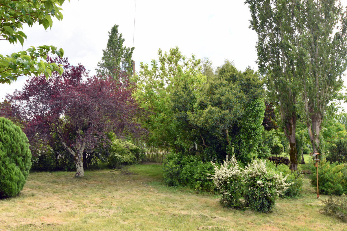 Terrain à MONTAUBAN