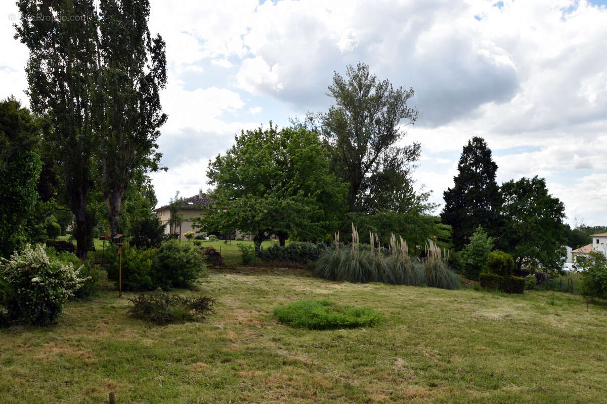 Terrain à MONTAUBAN