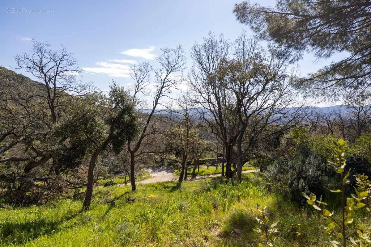 Maison à LA GARDE-FREINET