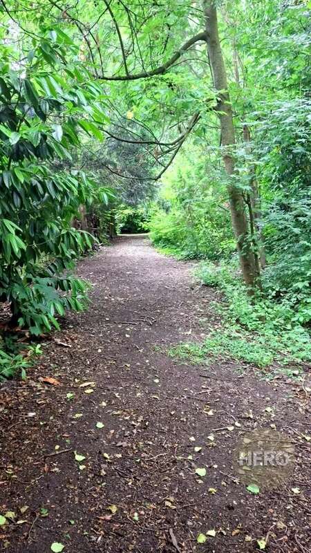 Maison à MAREIL-SUR-MAULDRE