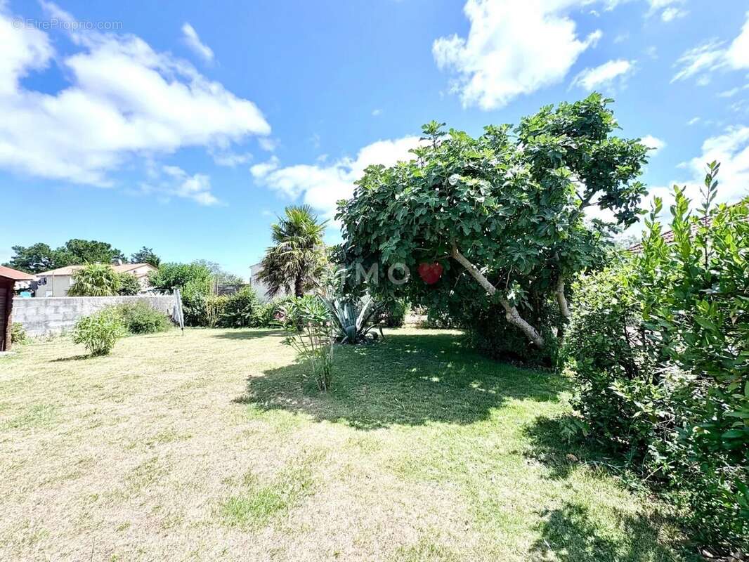 Maison à DOLUS-D&#039;OLERON