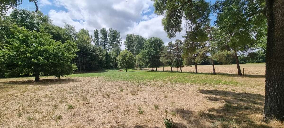 Maison à CASTELNAU-MONTRATIER