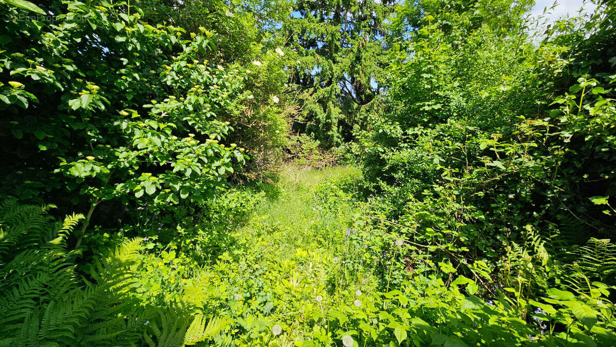 Maison à FOUQUIERES-LES-LENS