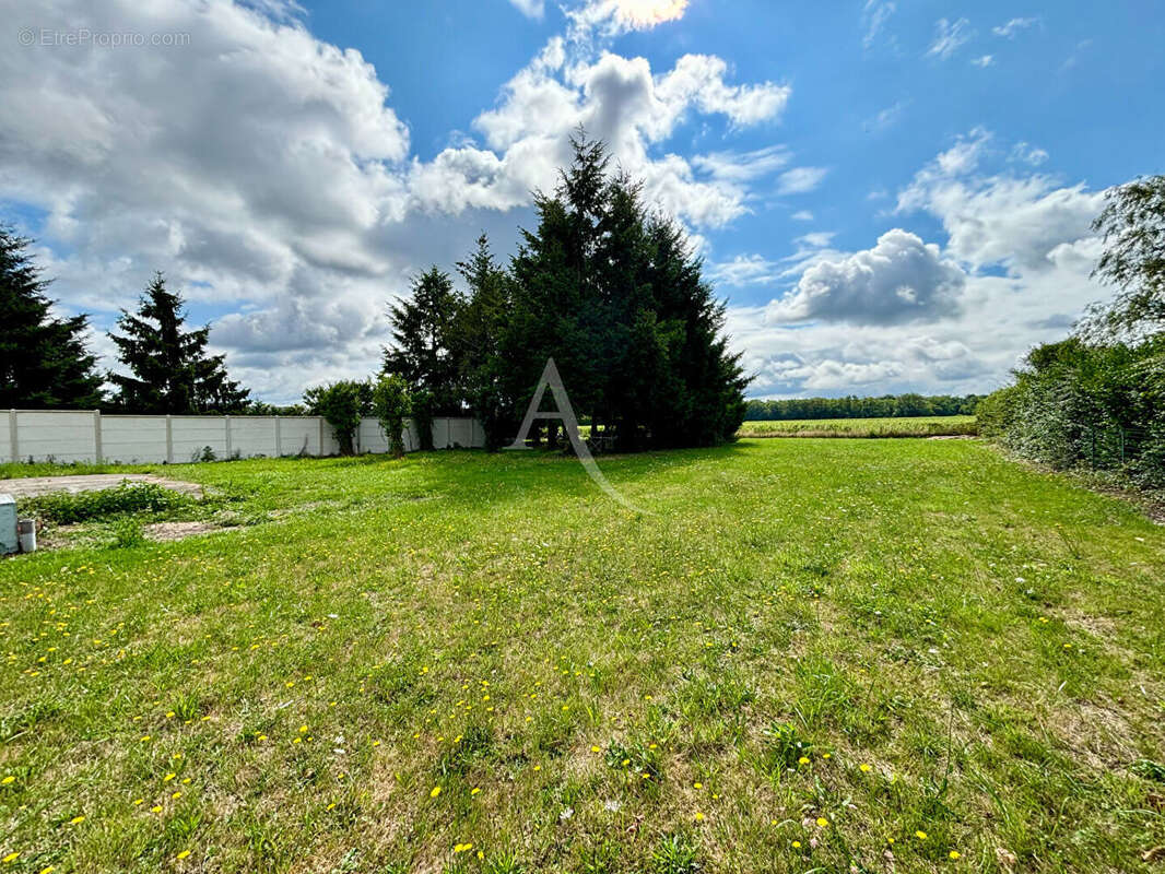 Commerce à CORMERAY