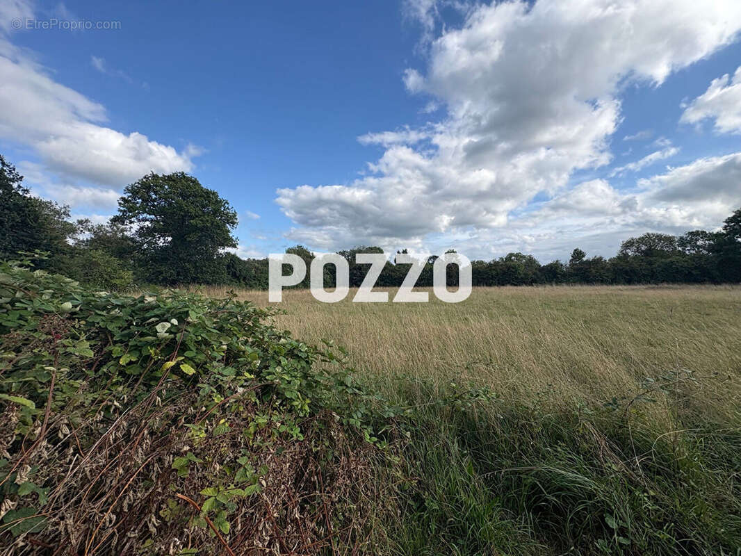 Maison à QUETTREVILLE-SUR-SIENNE