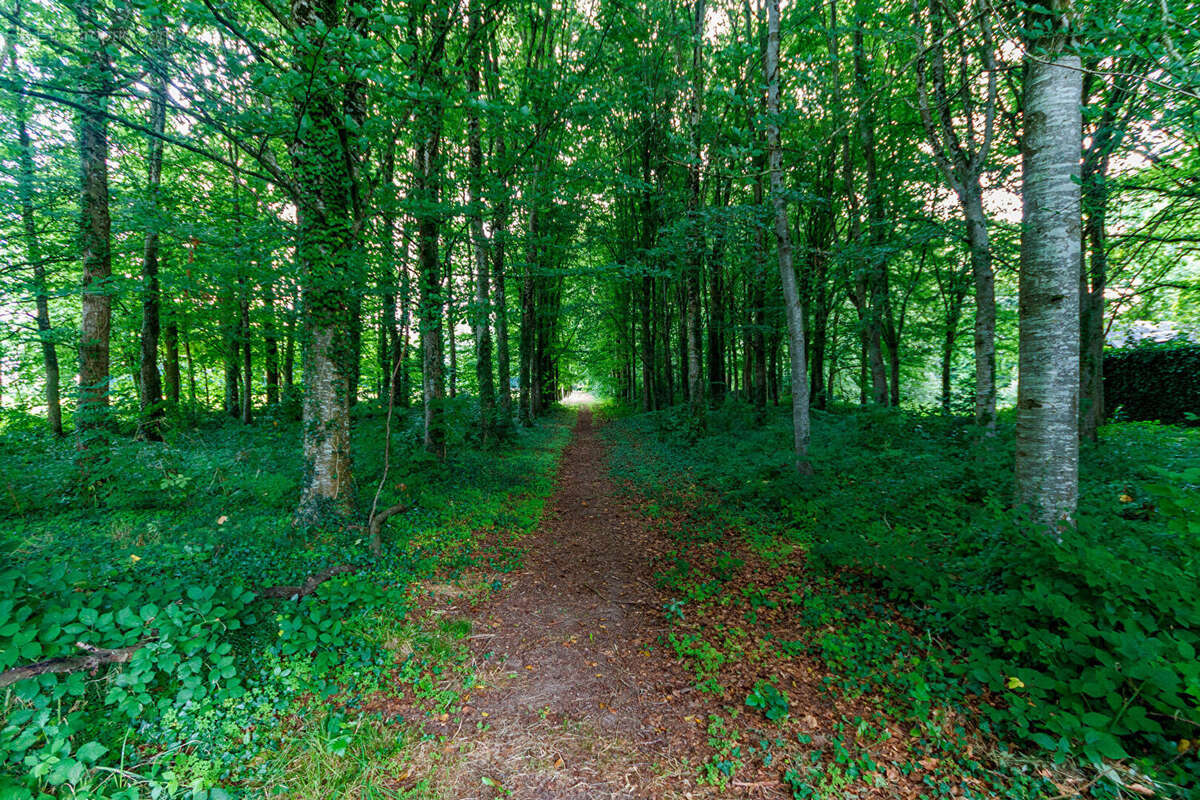 Maison à SAINT-HILAIRE-DU-HARCOUET