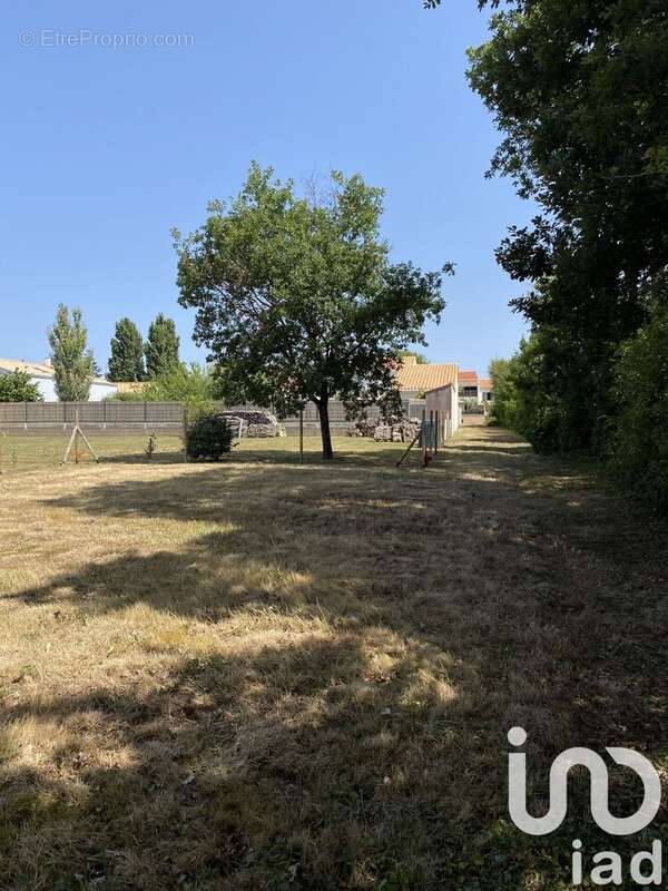 Photo 2 - Terrain à L&#039;ILE-D&#039;OLONNE