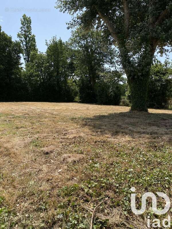 Photo 4 - Terrain à L&#039;ILE-D&#039;OLONNE