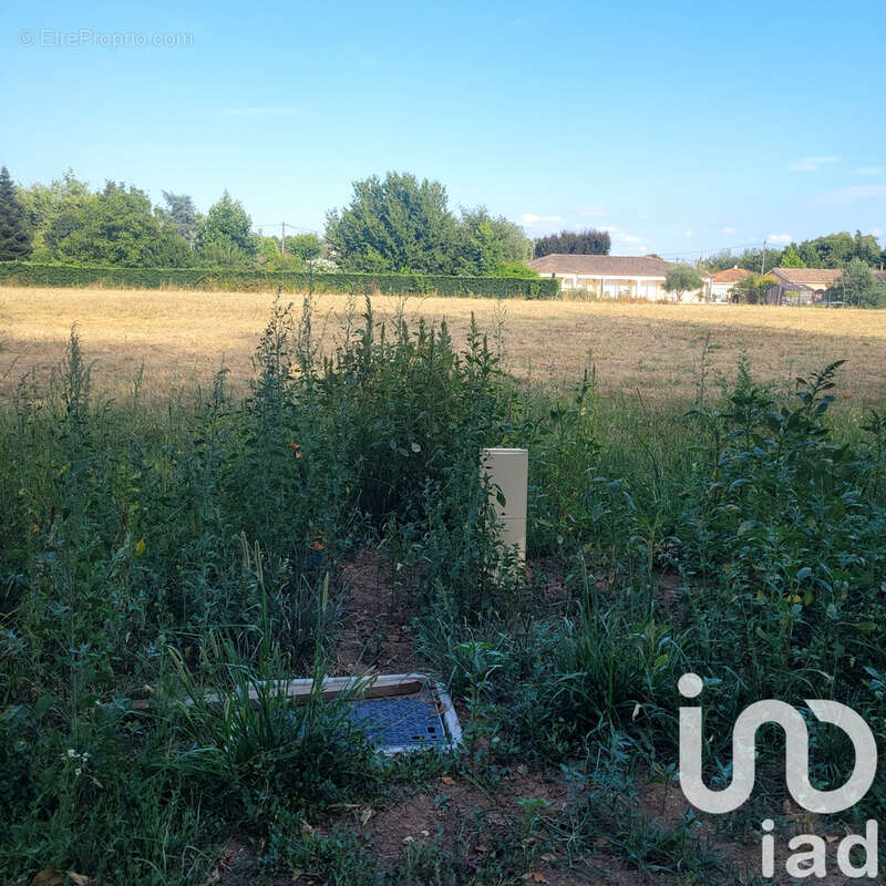 Photo 3 - Terrain à SAINT-PIERRE-D&#039;EYRAUD