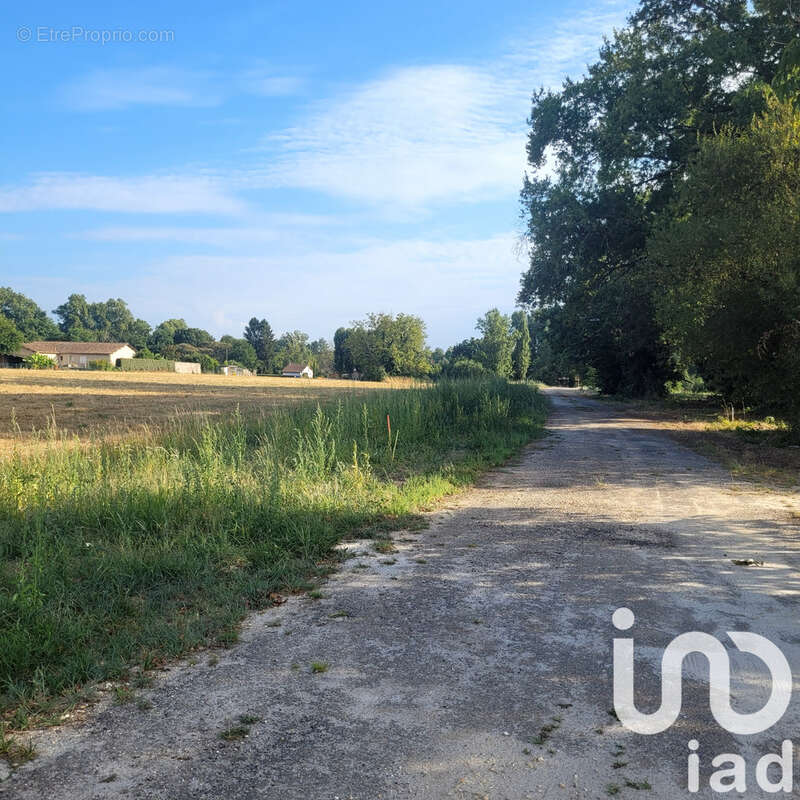 Photo 5 - Terrain à SAINT-PIERRE-D&#039;EYRAUD