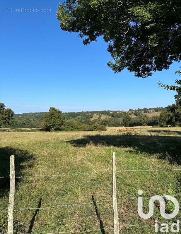Photo 5 - Maison à ROUMAZIERES-LOUBERT