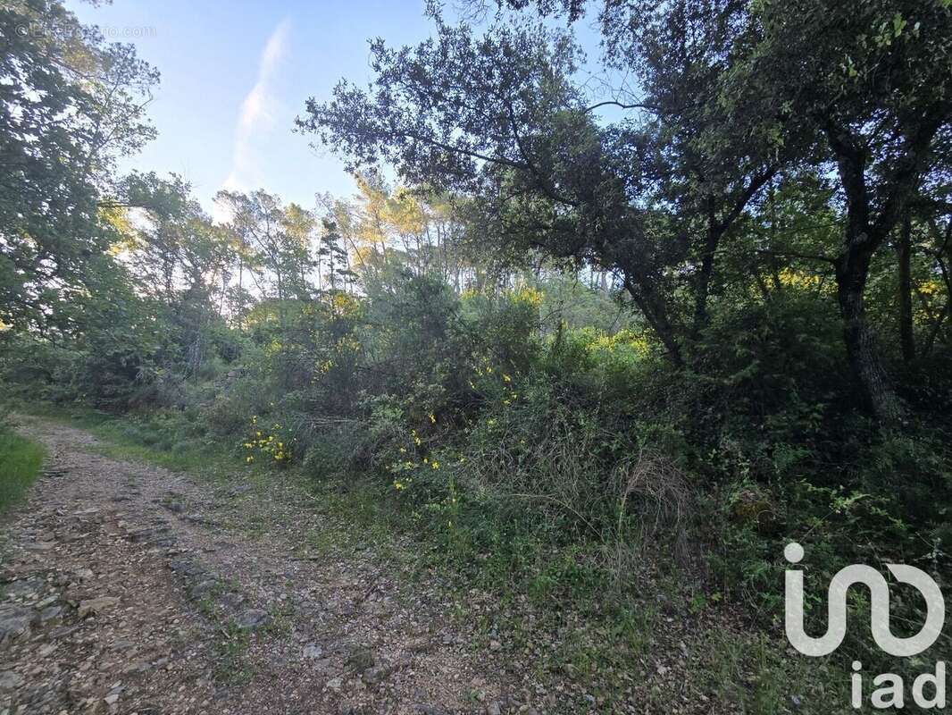 Photo 3 - Terrain à LORGUES