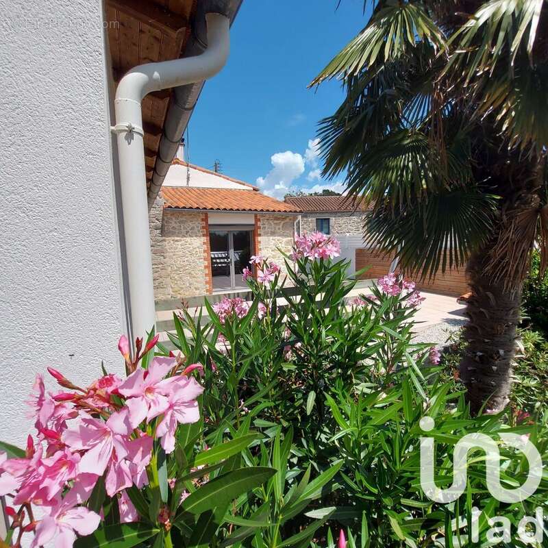 Photo 8 - Maison à MORTAGNE-SUR-SEVRE