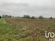 Photo 1 - Terrain à MULSANNE