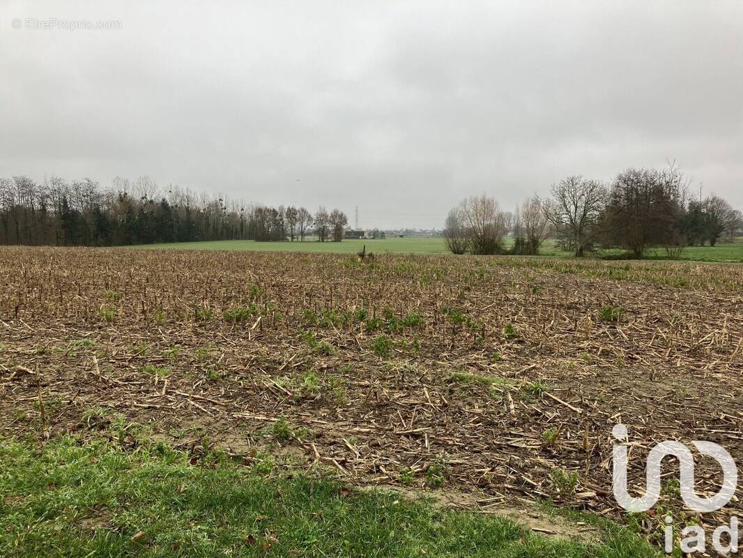 Photo 1 - Terrain à MULSANNE