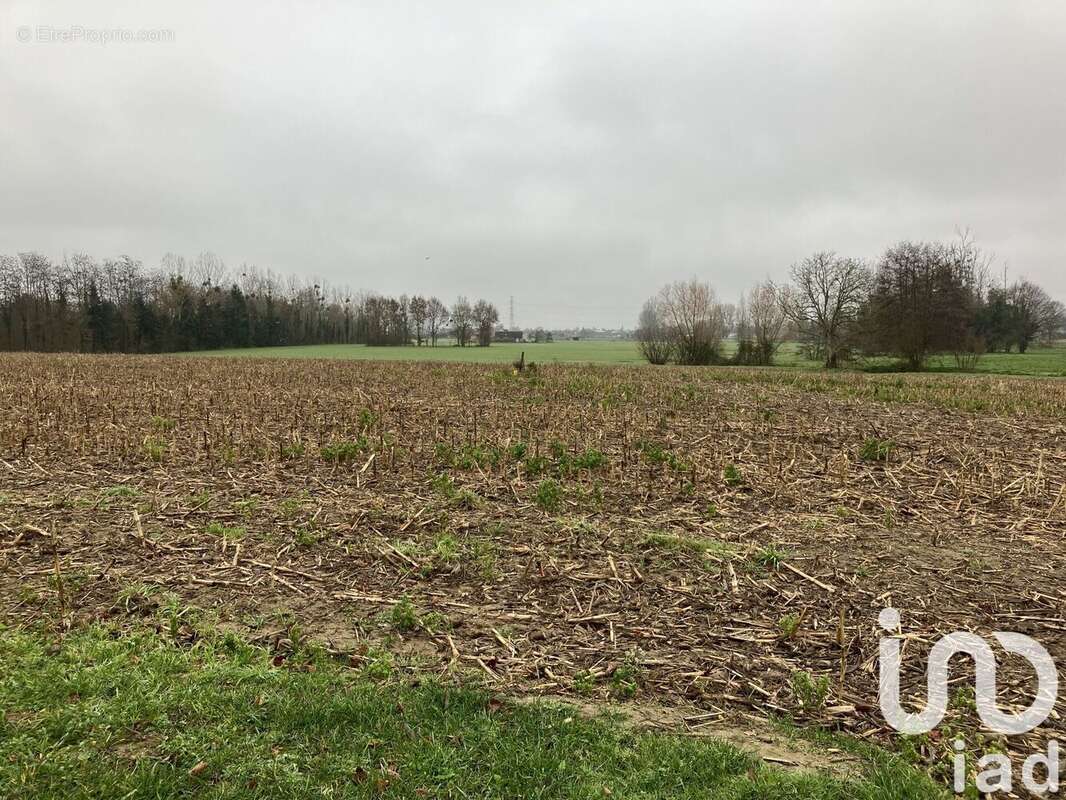 Photo 3 - Terrain à MULSANNE