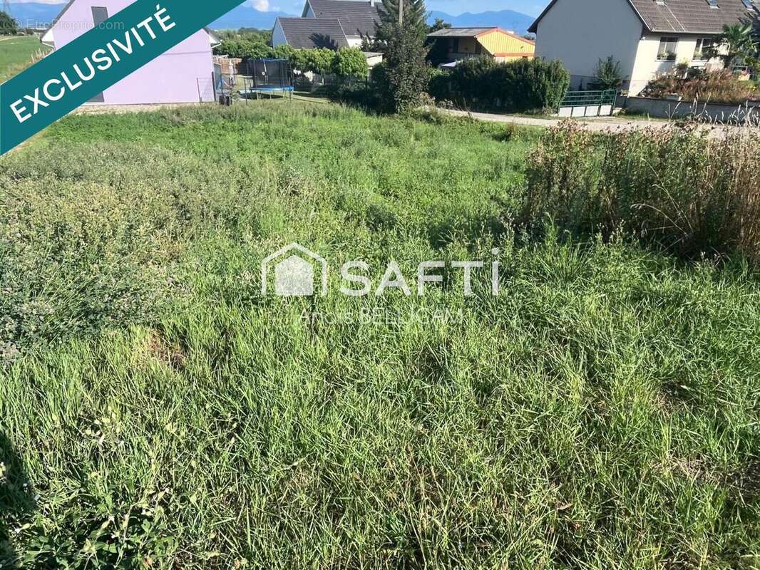 Photo 5 - Terrain à BALGAU