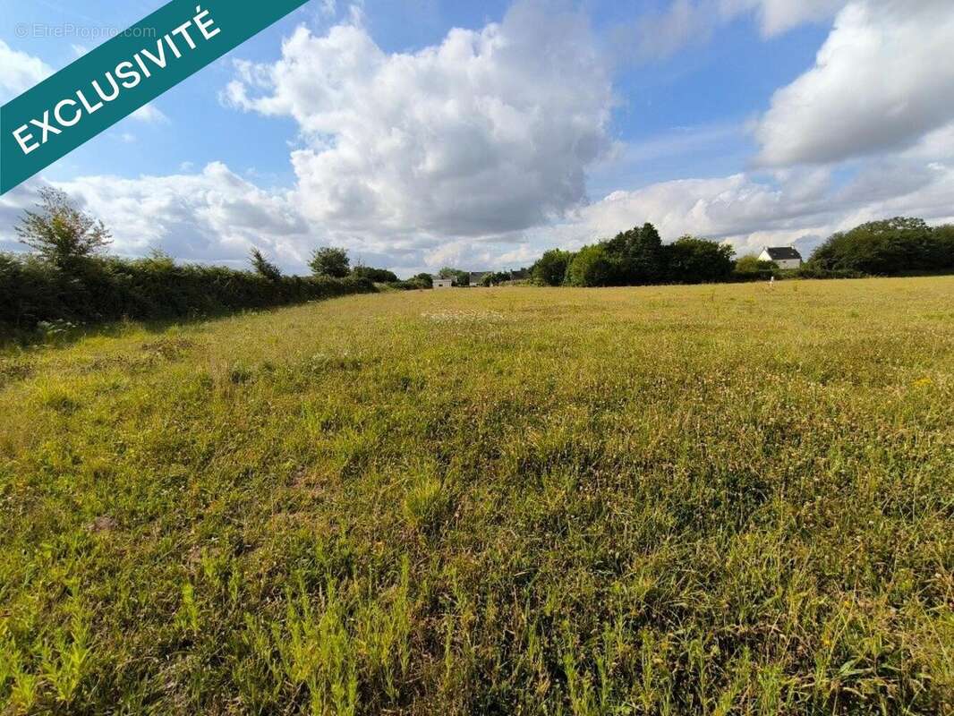 Photo 2 - Terrain à PLOUGUIEL