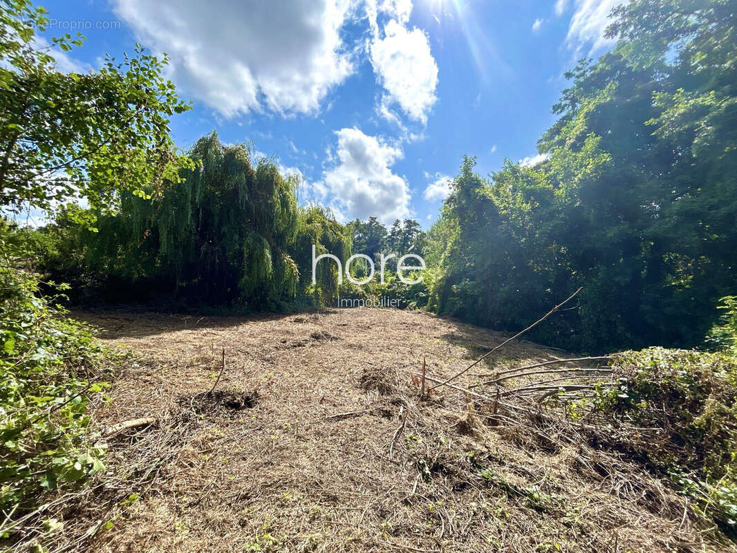 Terrain à VILLERS-SUR-MER