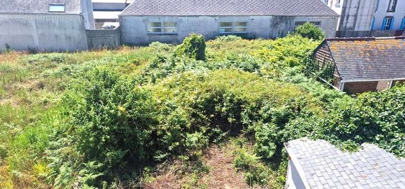 Maison à ILE-DE-SEIN