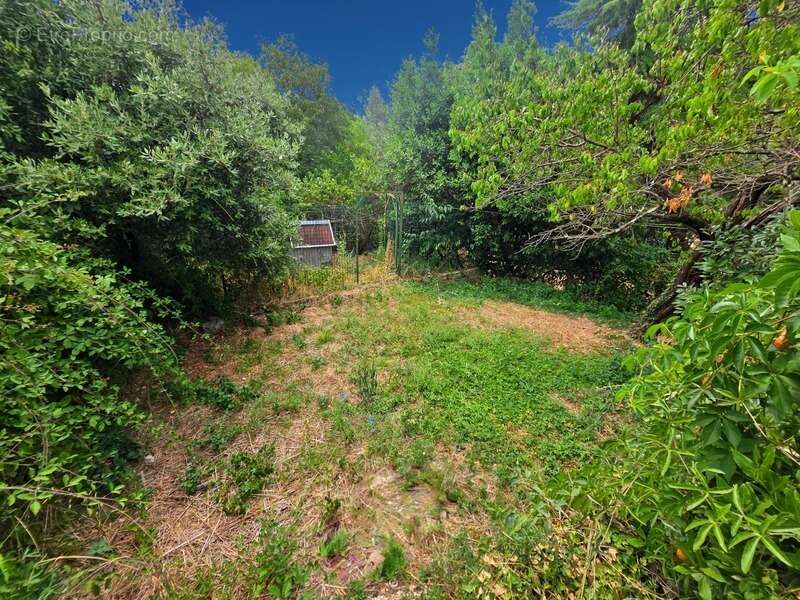 Terrain à LAVAL-PRADEL