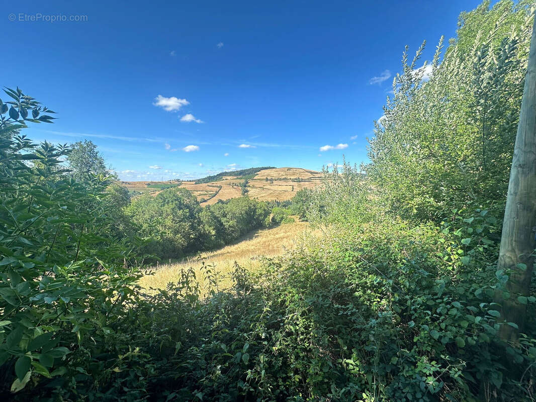 Photo 2 - Maison à SAINTE-COLOMBE-SUR-GAND