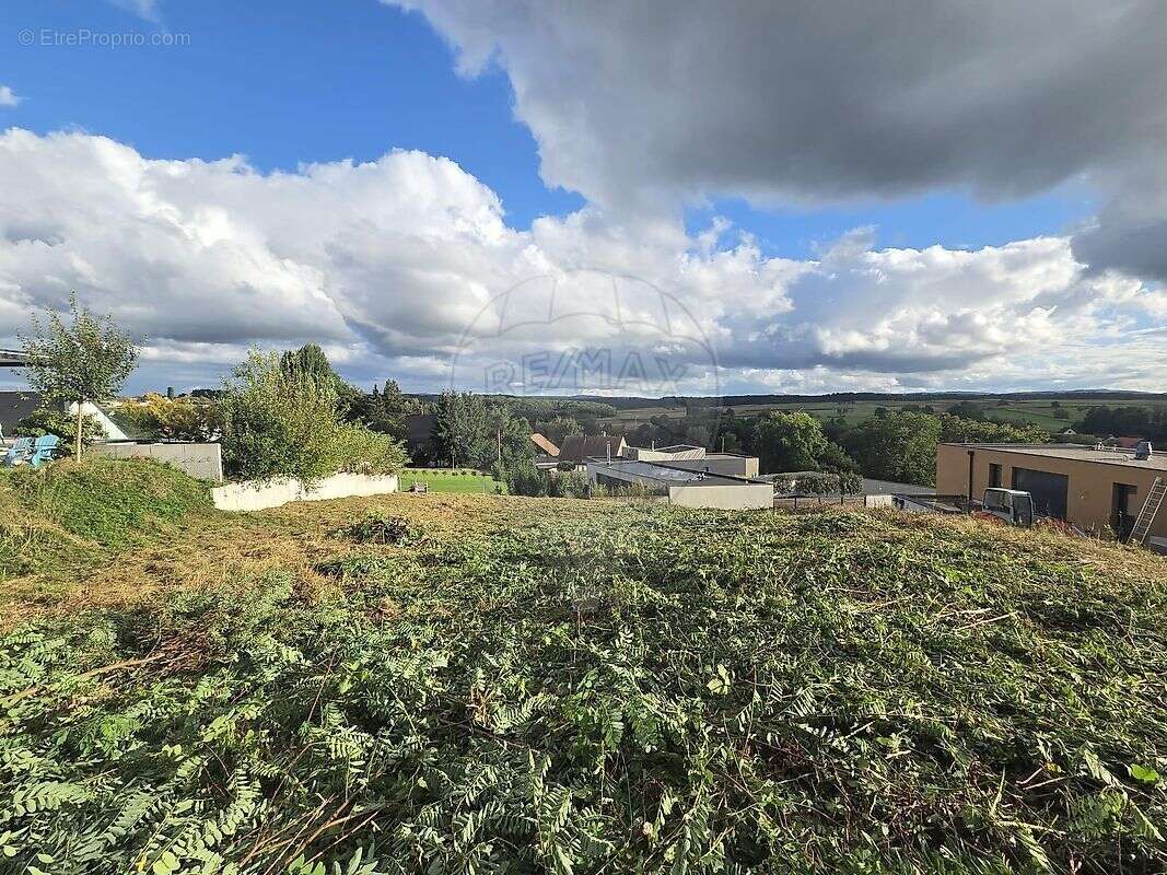 Terrain à MUESPACH