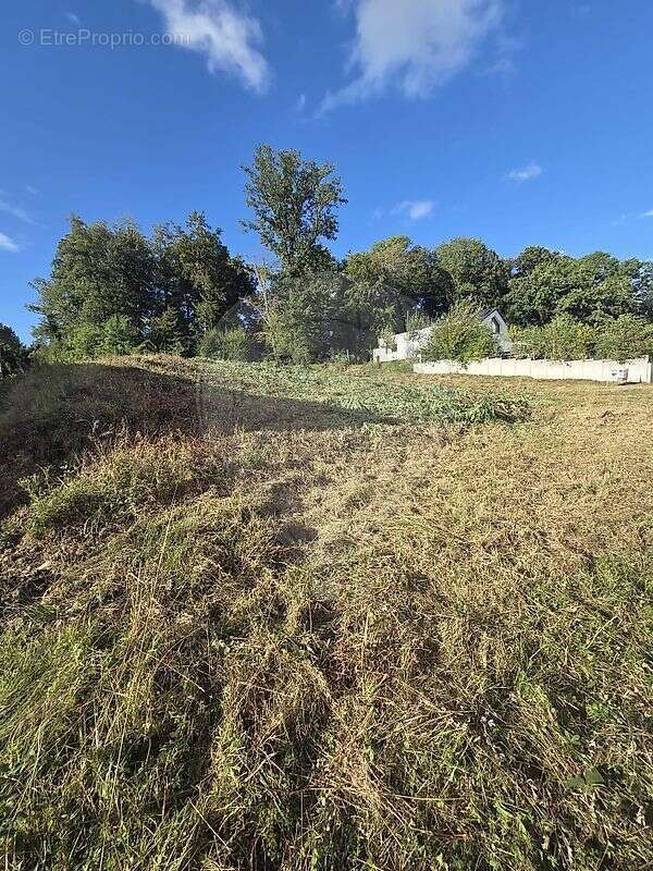 Terrain à MUESPACH