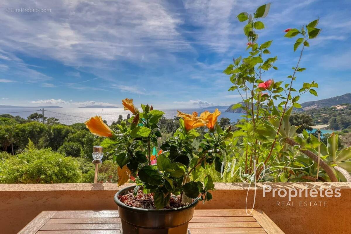 Appartement à RAYOL-CANADEL-SUR-MER