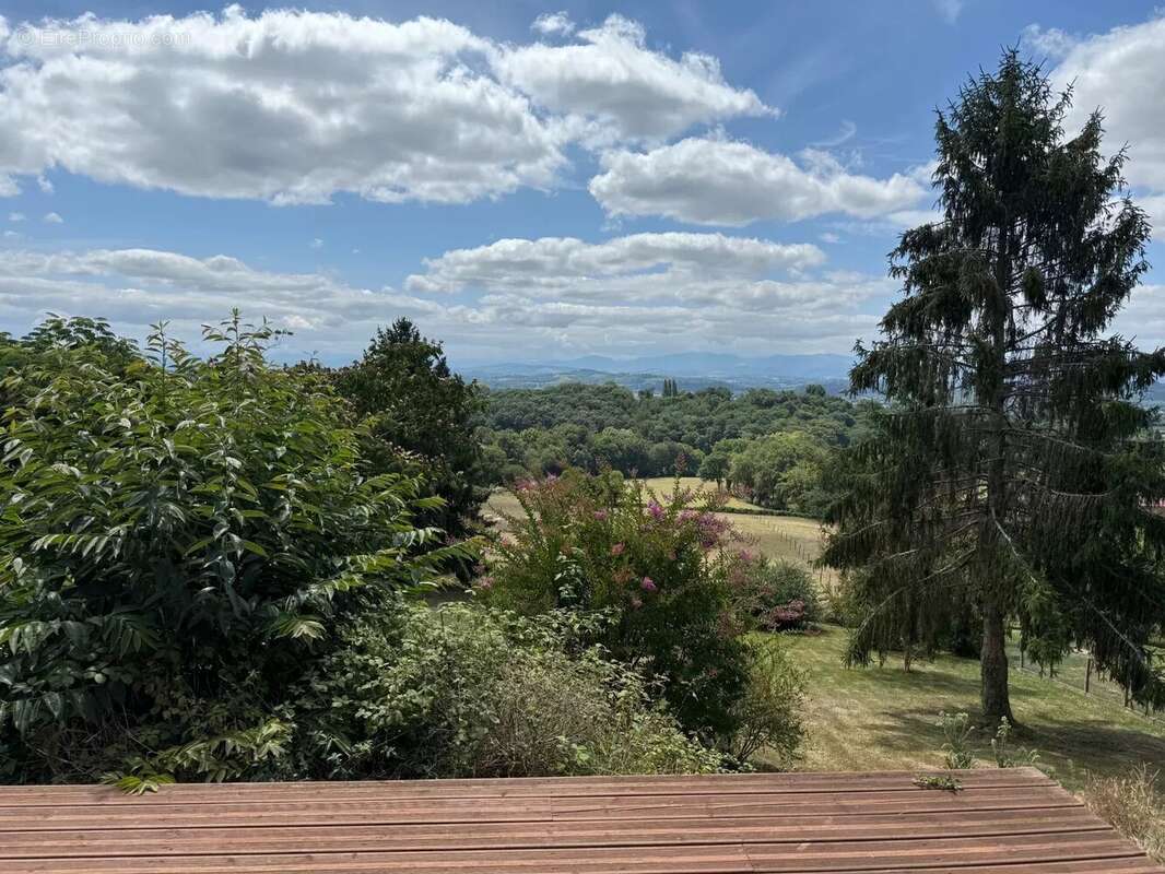 Maison à SAUVETERRE-DE-BEARN