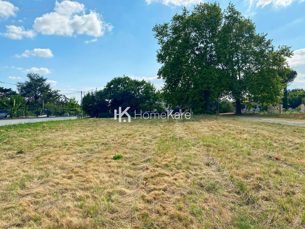 Terrain à MONTAUBAN