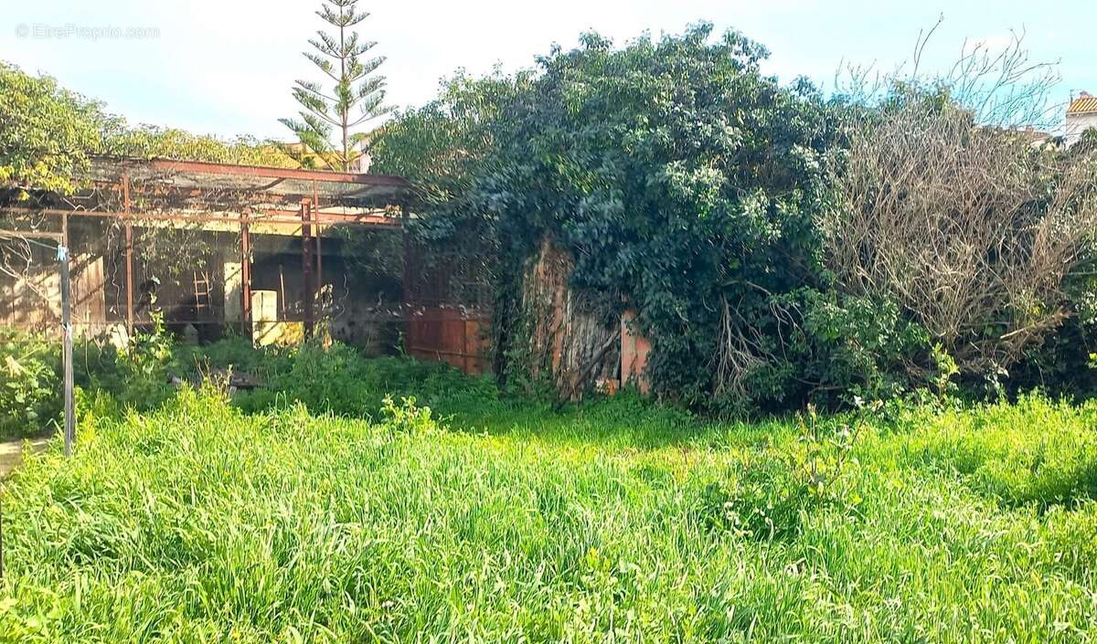 Maison à ARGELES-SUR-MER
