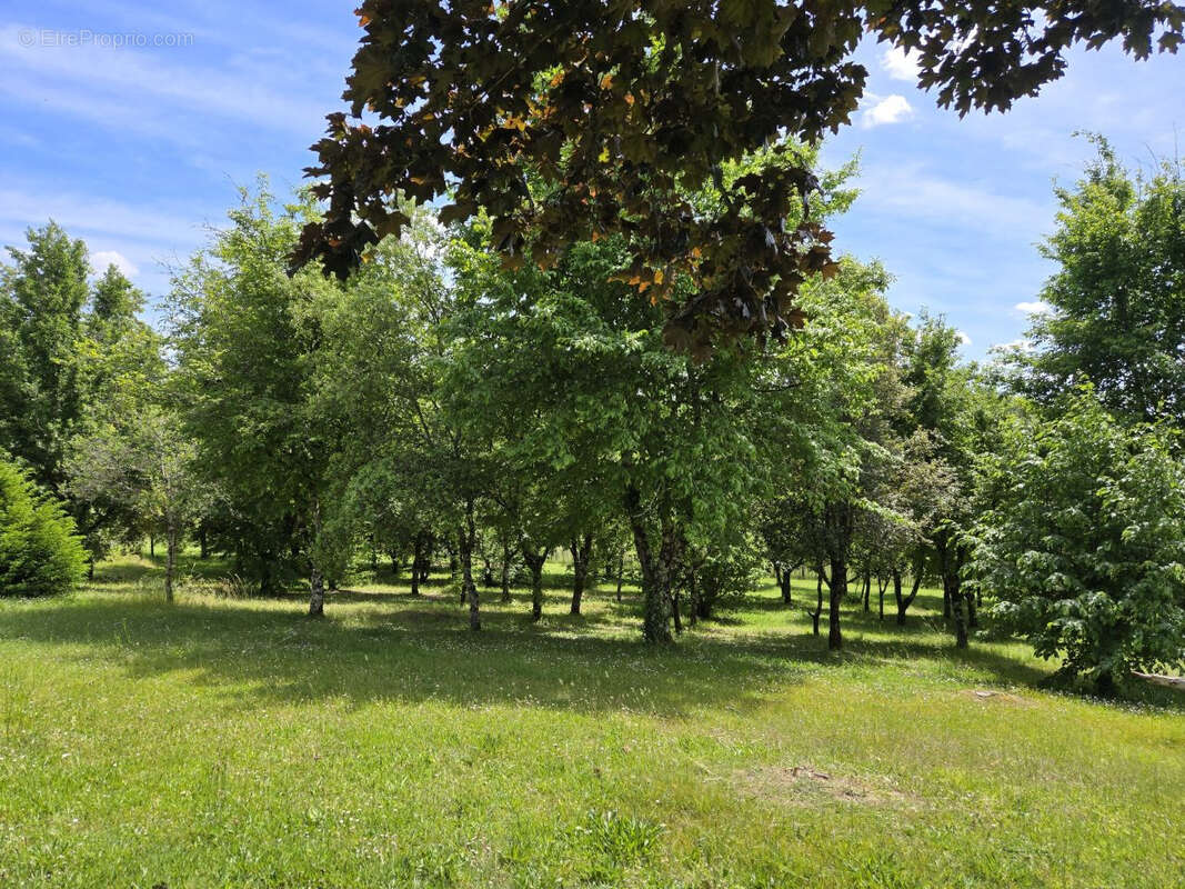 Maison à MONTAGNAC-LA-CREMPSE