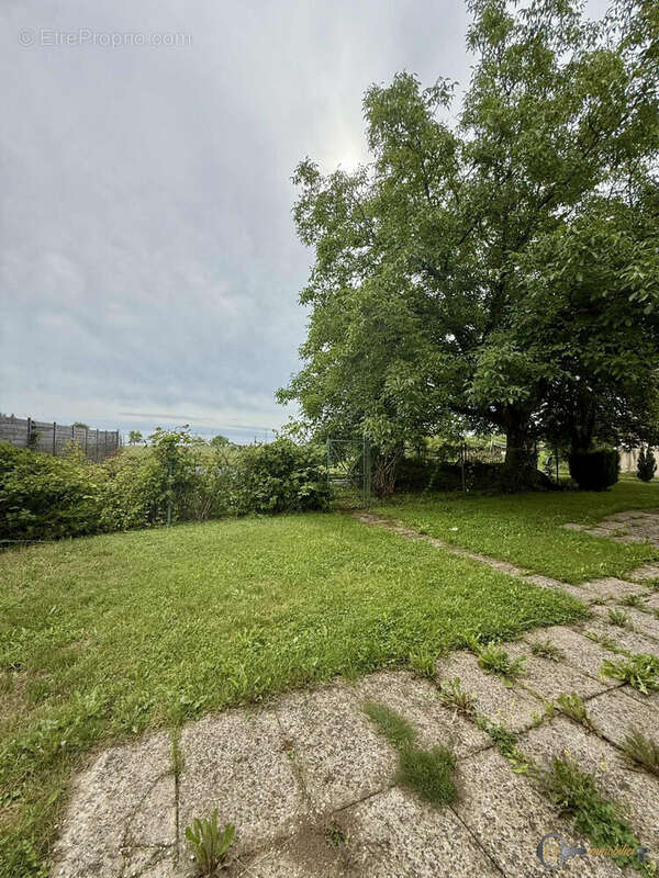 Maison à PETIT-REDERCHING