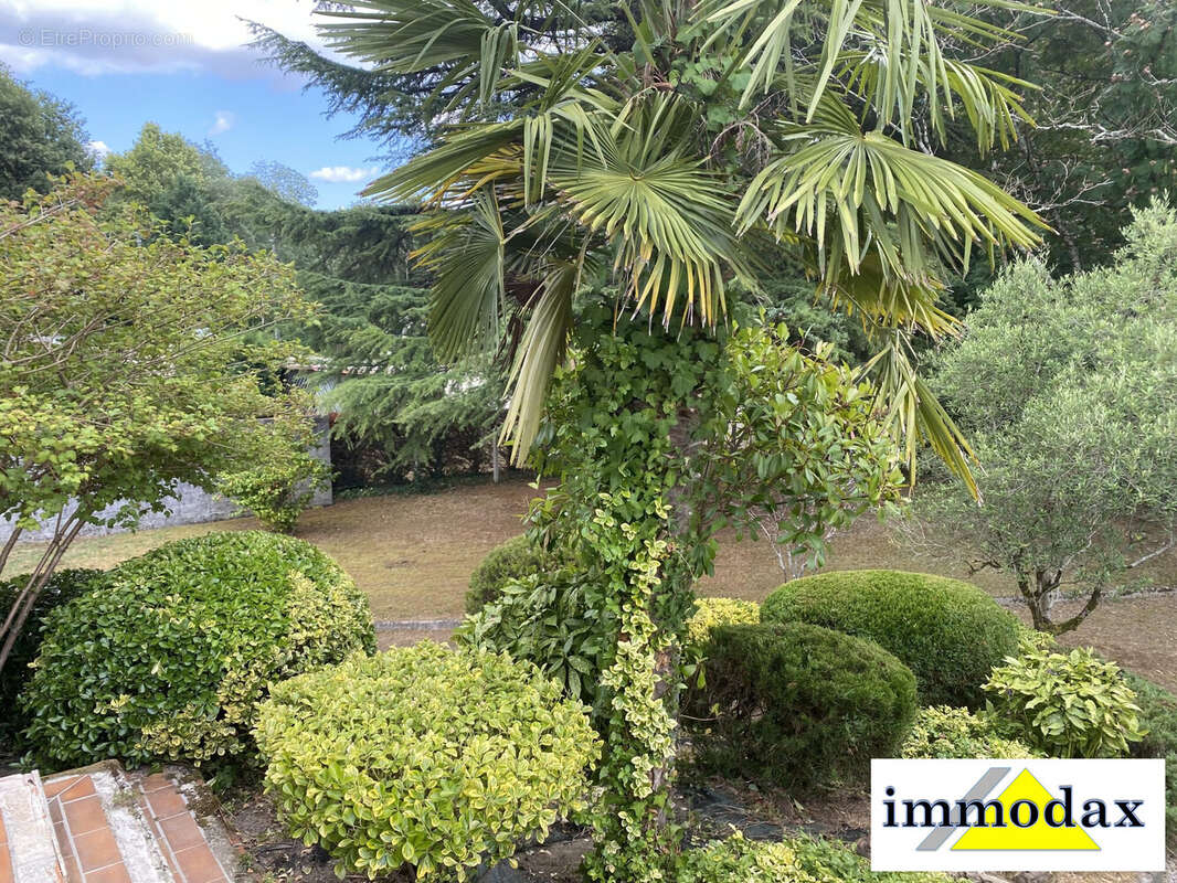 Parc vue 1 - Maison à YZOSSE