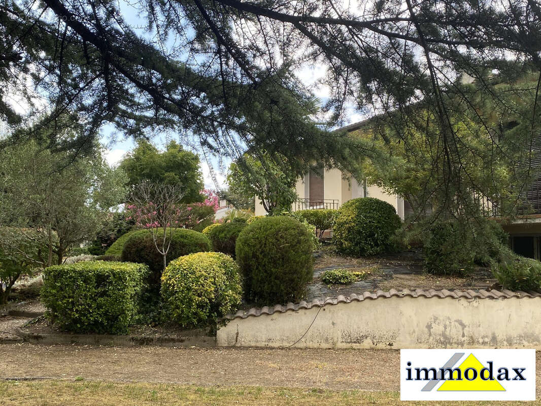 Parc vue 2 - Maison à YZOSSE