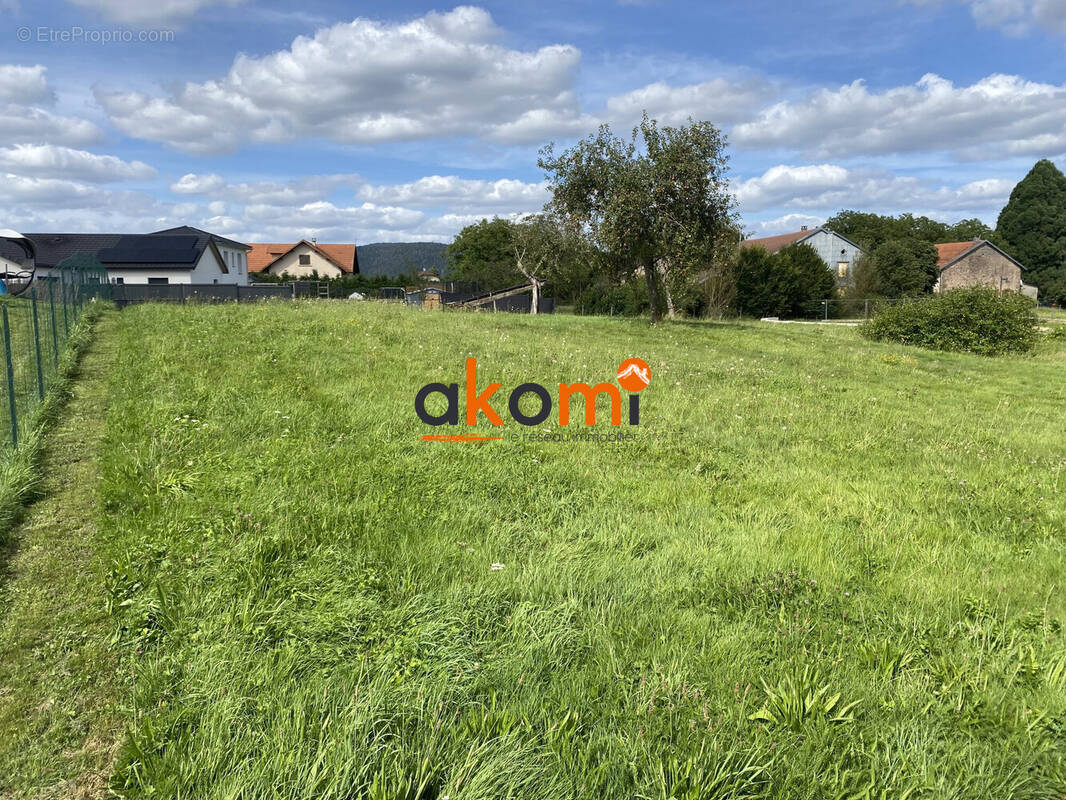 Terrain à SAINT-REMY