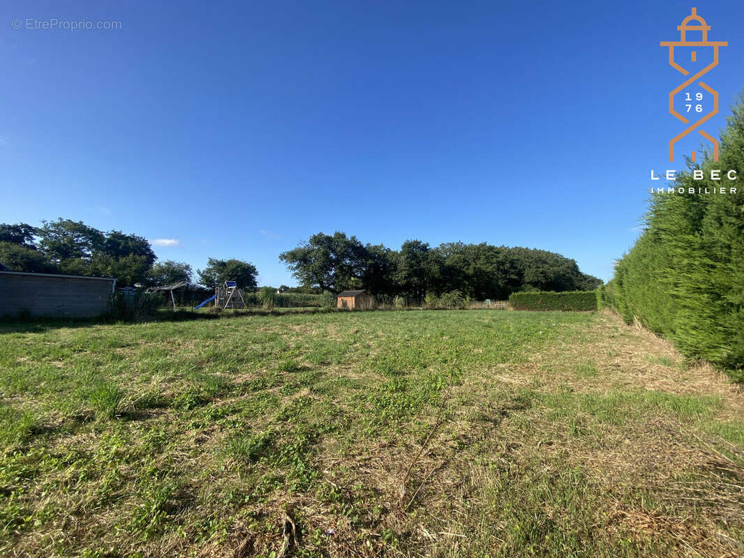 Terrain à LA TRINITE-SURZUR