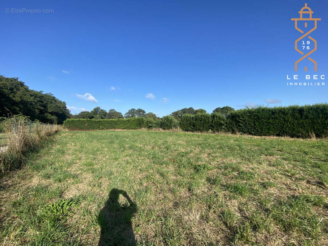 Terrain à LA TRINITE-SURZUR