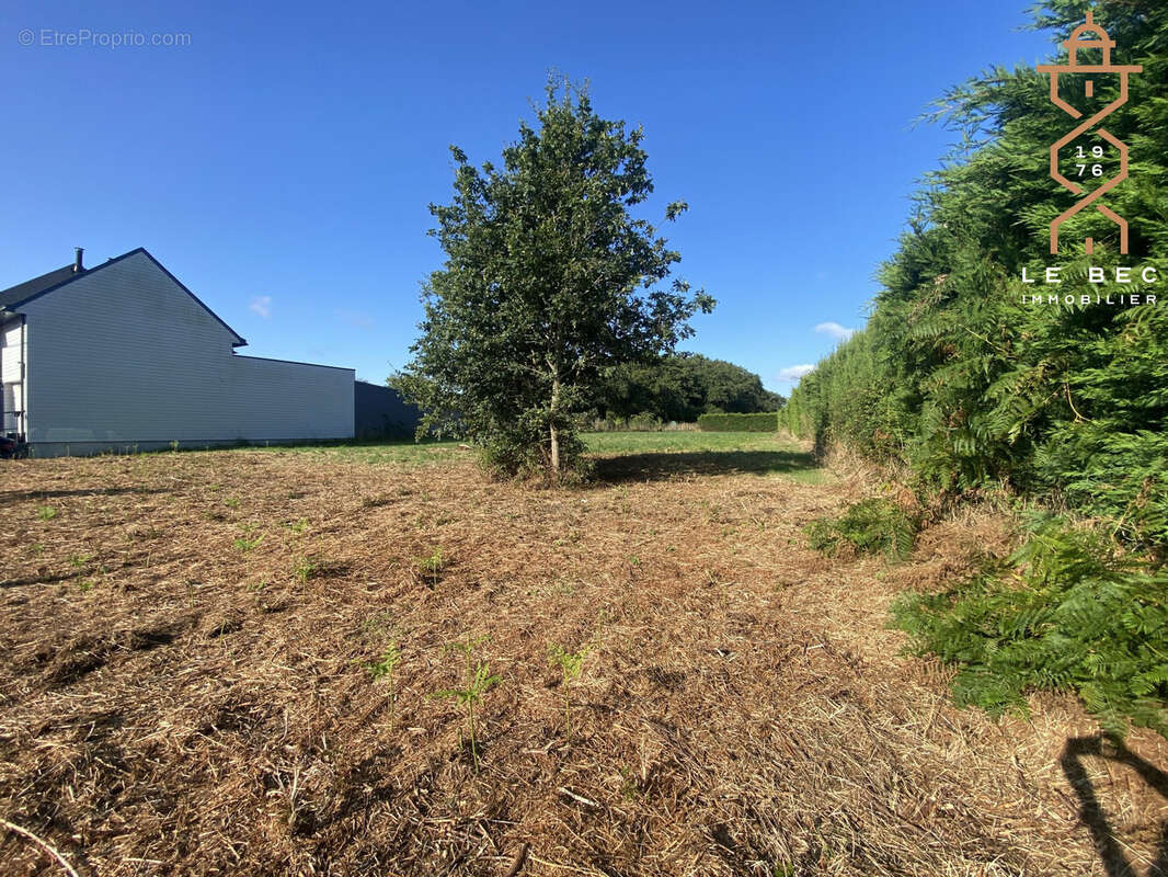 Terrain à LA TRINITE-SURZUR