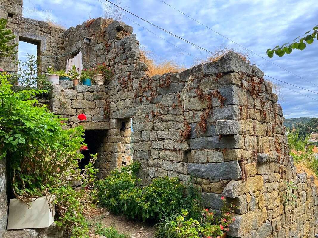 Terrain à SOLLACARO