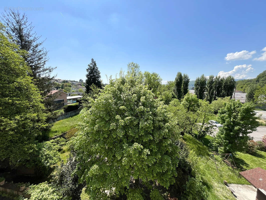 Appartement à NEUVILLE-SUR-SAONE