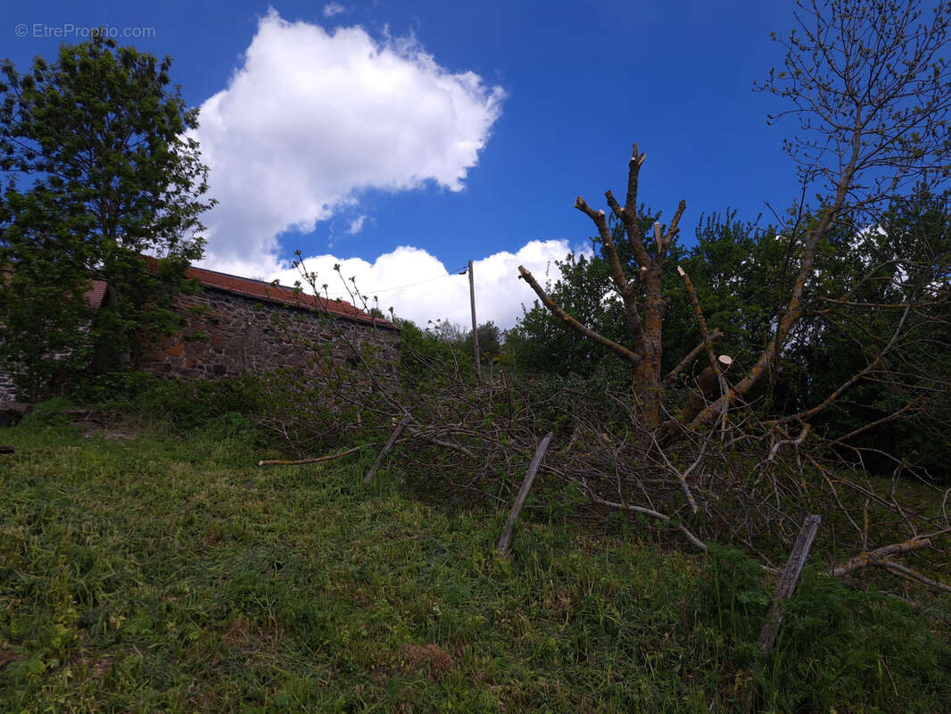 Maison à LES VASTRES