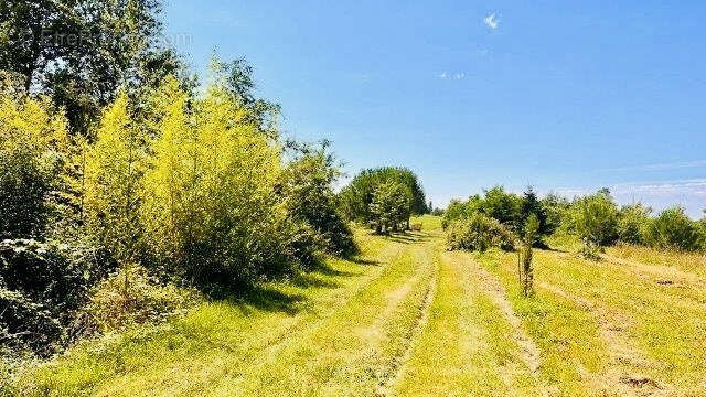 Maison à L&#039;ISLE-EN-DODON