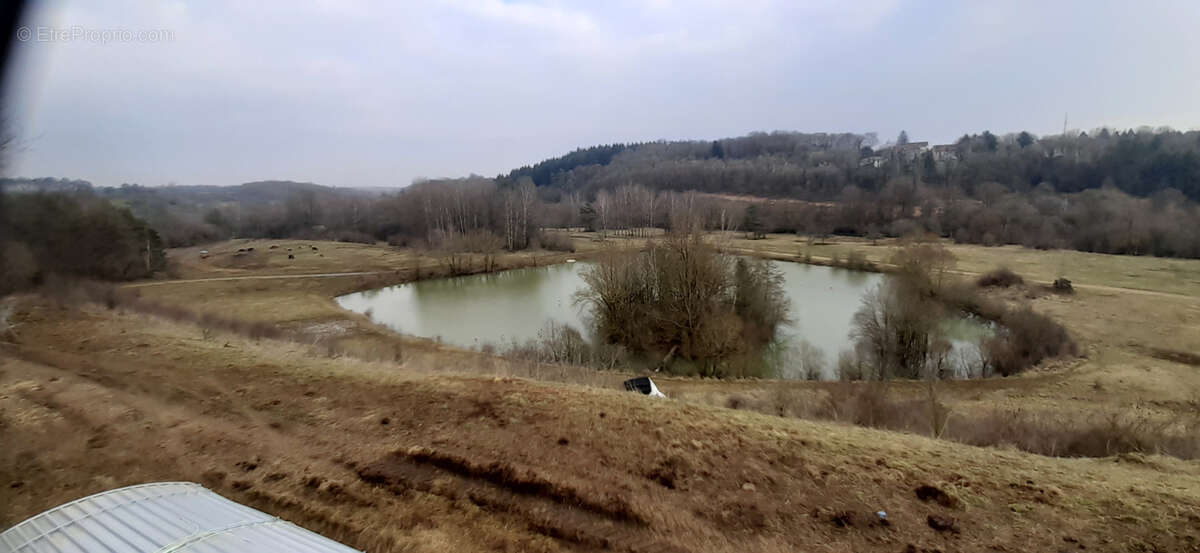 Terrain à VILLERUPT