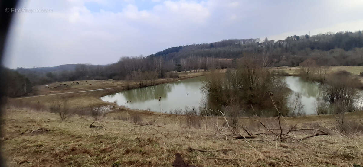 Terrain à VILLERUPT