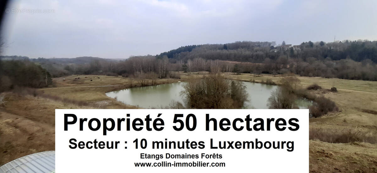 Terrain à VILLERUPT